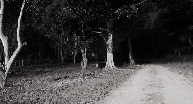 Top 10 Spooky-Scary Haunted Places in India