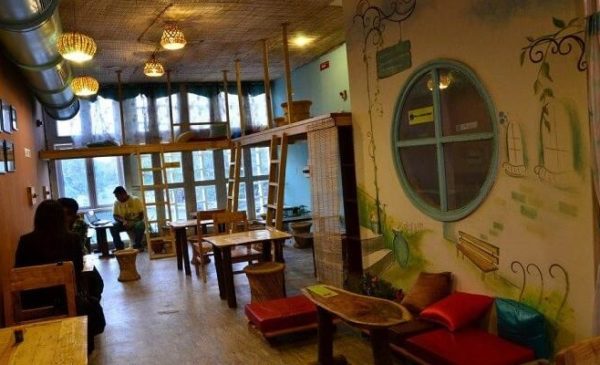 Cozy Cafes of Chandigarh
