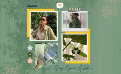 Sage green Aesthetic: Details, Guide and Inspiration